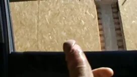 Šarmantno dano u dvi ...