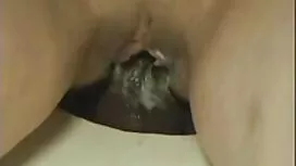 Snimljeno porniće s  ...