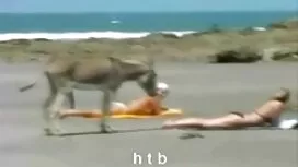 Bajka voli cinema re ...
