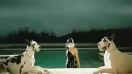 Zrela žena milovala  ...