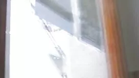 Japanski par u vinta ...