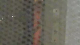 Iznenađujuće classic ...
