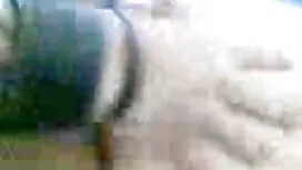 Prekrasna plavuša se ...